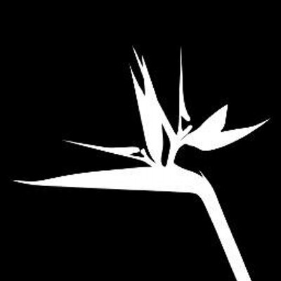 AtlanticoWeb Ayose Lomba