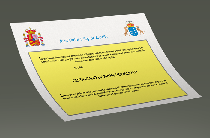 Certificados de Profesionalidad Ayose Lomba